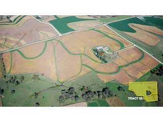 Property photo 11 - 1,153 +/- Acres offered in 15 TractsLAND AUCTION